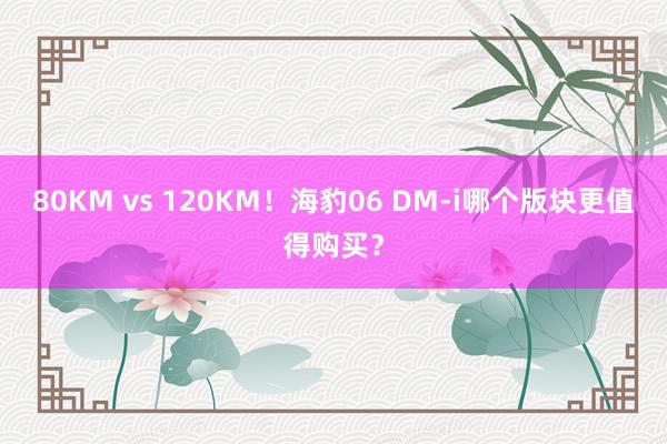 80KM vs 120KM！海豹06 DM-i哪个版块更值得购买？