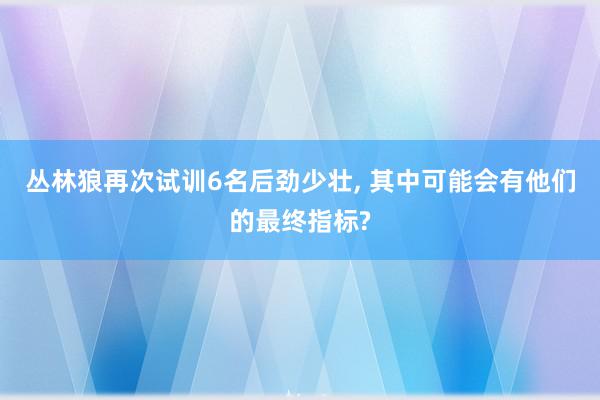 丛林狼再次试训6名后劲少壮, 其中可能会有他们的最终指标?