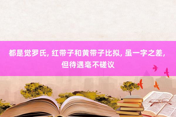 都是觉罗氏, 红带子和黄带子比拟, 虽一字之差, 但待遇毫不磋议