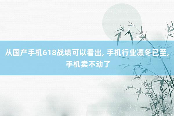 从国产手机618战绩可以看出, 手机行业凛冬已至, 手机卖不动了