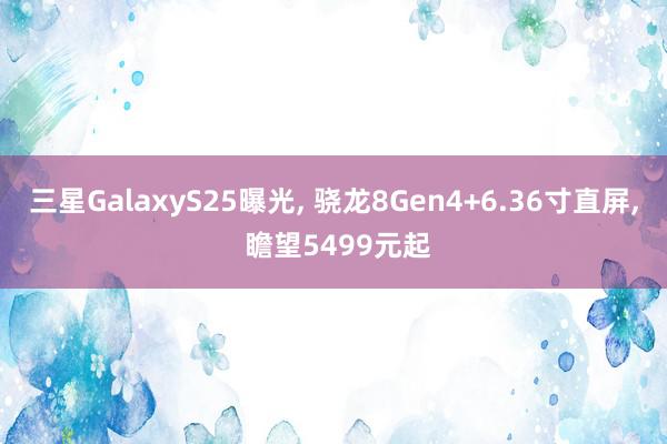 三星GalaxyS25曝光, 骁龙8Gen4+6.36寸直屏, 瞻望5499元起