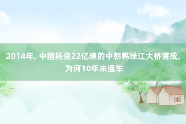 2014年, 中国耗资22亿建的中朝鸭绿江大桥落成, 为何10年未通车