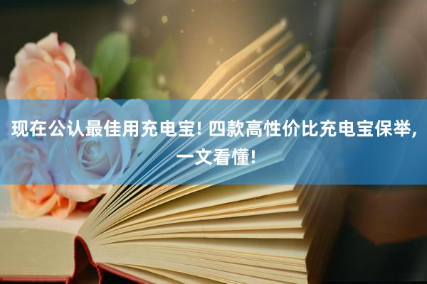 现在公认最佳用充电宝! 四款高性价比充电宝保举, 一文看懂!