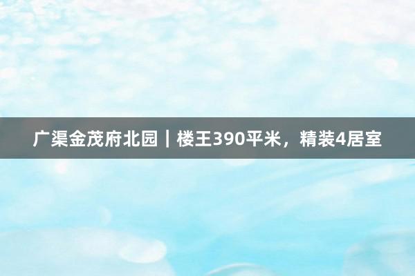 广渠金茂府北园｜楼王390平米，精装4居室