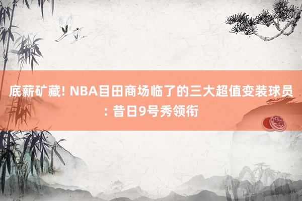 底薪矿藏! NBA目田商场临了的三大超值变装球员: 昔日9号秀领衔