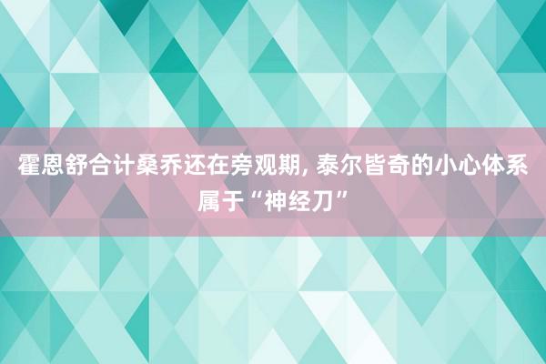 霍恩舒合计桑乔还在旁观期, 泰尔皆奇的小心体系属于“神经刀”