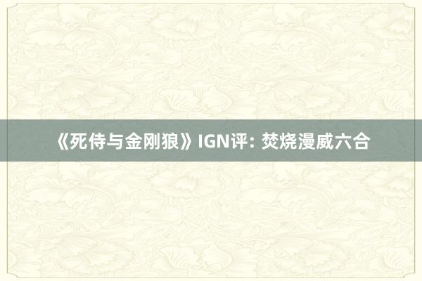 《死侍与金刚狼》IGN评: 焚烧漫威六合