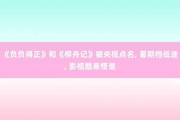 《负负得正》和《柳舟记》被央视点名, 暑期档低迷, 影视酷寒怪谁