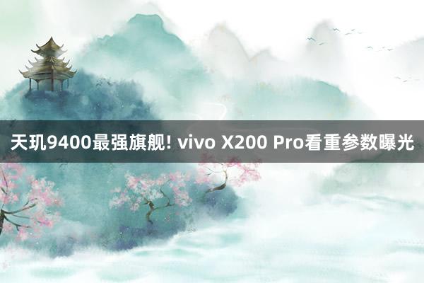 天玑9400最强旗舰! vivo X200 Pro看重参数曝光