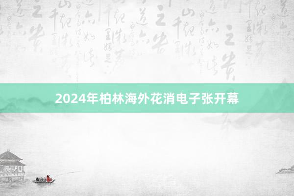 2024年柏林海外花消电子张开幕