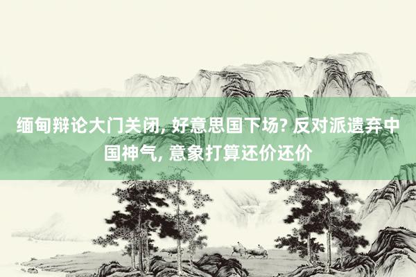 缅甸辩论大门关闭, 好意思国下场? 反对派遗弃中国神气, 意象打算还价还价