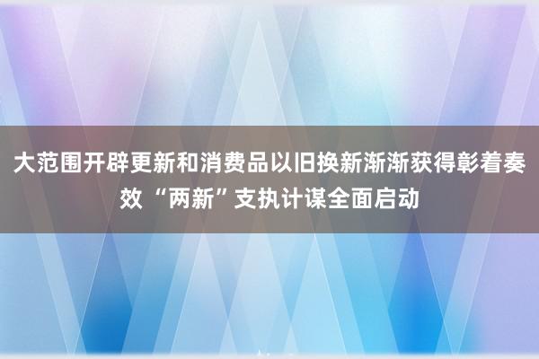 大范围开辟更新和消费品以旧换新渐渐获得彰着奏效 “两新”支执计谋全面启动