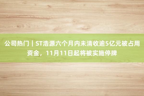 公司热门｜ST浩源六个月内未清收逾5亿元被占用资金，11月11日起将被实施停牌