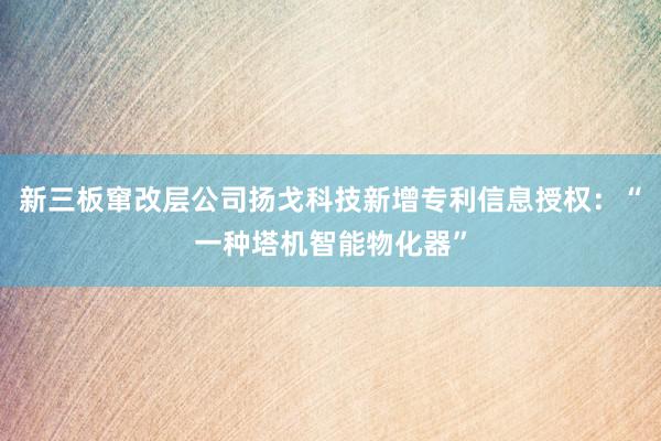 新三板窜改层公司扬戈科技新增专利信息授权：“一种塔机智能物化器”