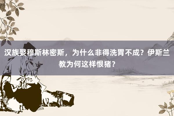 汉族娶穆斯林密斯，为什么非得洗胃不成？伊斯兰教为何这样恨猪？